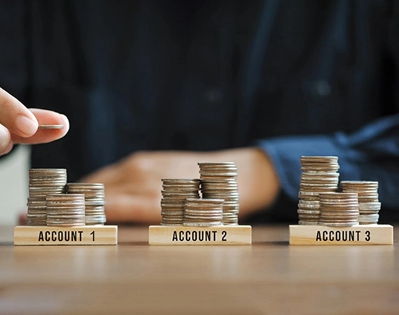 Strategic Financial Advisory Services for SMEs